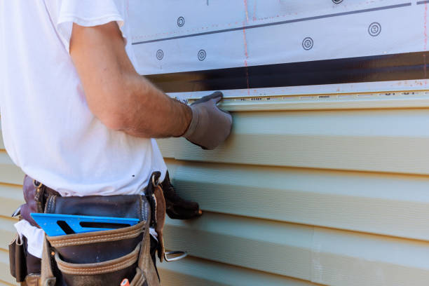 Best Stucco Siding  in Roanoke, AL